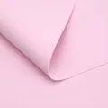 Papier mousse rose doux et imperméable pour bouquets de fleurs et décorations artisanales. - Lot de 5 / Rose Gelée