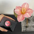 Professional 300ml dark red absorption dye for fresh flower coloring and rose bouquet - 300ml / Prague Dark Red