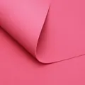 Papier d'emballage en mousse rose vif avec texture éponge douce pour le DIY floral - Lot de 5 / Rouge pastèque