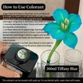 Professional 300ml Tiffany blue fresh flower absorption dye for roses and floral arrangements - 300ml / Tiffany Blue