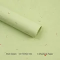 Mint green handmade petal paper with embossed texture for DIY flower wrapping, 4 sheets pack - Hand-torn Textured Paper 4 Sheets (55*40cm) / Mint Green
