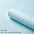 Sky blue handmade textured flower wrapping paper, 50x70cm artistic Dongba paper - Large (50*70cm) / Sky Blue