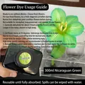 300ml Nicaragua Green liquid dye for fresh flower coloring, perfect for floral shop DIY crafts - 300ml / Nicaragua Green