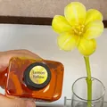 300ml Lemon Yellow Flower Dye Solution for Tinting Fresh Cut Flowers and Bouquets - 300ml / Lemon Yellow