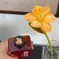 300ml Coral Orange flower dye liquid with blooming flower demonstration - 300ml / Coral Orange
