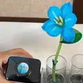 Professional Santorini Blue flower absorbent dye 300ml for fresh floral coloring and tinting - 300ml / Santorini Blue