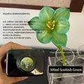 300ml Scotland Green flower absorbent dye for fresh floral coloring kit - 300ml / Scotland Green