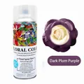 Professional quick-drying floral color spray for fresh flowers in plum purple finish 450ml - 450ml/Bottle / Dark Plum
