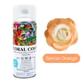 Professional Iberia Orange floral color spray for fresh flower decoration and dyeing - 450ml/Bottle / Iberia Orange
