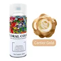 Floral color spray paint in champagne gold for flower dyeing and decoration - 450ml/Bottle / Champagne Gold
