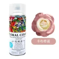 Professional floral color spray for fresh flowers in Cappuccino shade with satin finish - 450ml/Bottle / Cappuccino