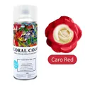 Professional floral color spray for fresh flowers in Carlo Red finish - 450ml/Bottle / Carlo Red