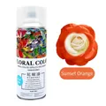 Sunset Orange professional floral color spray paint for fresh flowers 450ml bottle - 450ml/Bottle / Sunset Orange