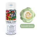 Professional avocado green floral spray paint for coloring fresh flower bouquets - 450ml/Bottle / Avocado Green