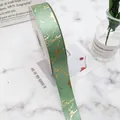 Elegant green 2.5cm satin ribbon with gold marble foil pattern for luxury gift wrapping - 2.5cm*25 Yards / Mint Green
