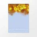 Style B colorful firework pattern wrapping paper in light blue for floral arrangements - Style B / Pack of 5
