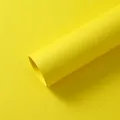 Carta kraft giallo brillante da 157 g resistente per composizioni floreali e confezioni - 10 Pezzi/Confezione (42x55cm) / Giallo Brillante