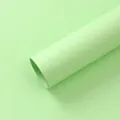 Carta kraft per modellismo verde menta spessa 157g per confezionare mazzi di fiori freschi - 10 Pezzi/Confezione (42x55cm) / Verde matcha
