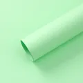 Rotolo di carta spessa da 157g verde menta per confezioni di fiori e lavori di bricolage - 10 Pezzi/Confezione (42x55cm) / Verde Prato