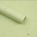 Carta Dongba artigianale verde chiaro per confezioni fiori con trame di petali naturali - 55x40cm (5 Fogli Per Confezione) / Carta Petali-Verde Menta