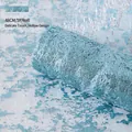 Hellblaue vergoldete Netzrolle für kreative Blumensträuße und Geschenkdekorationen - 1 Rolle / Eiskristallblau