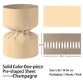 Lámina de embalaje de flores preformada color champán, 66x36cm, pack de 5 piezas - Pack de 5 / Champaña