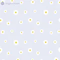 Elegant white daisy floral pattern gift wrapping paper in a light purple color tone - 58x58cm / Light Primrose Yellow