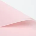 Elegant light pink matte flower wrapping paper for floral bouquets and gift packaging - 20 Pieces/Pack (57cmx57cm) / Water Pink