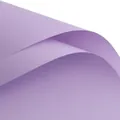 Light purple waterproof matte flower wrapping paper for elegant professional floral bouquets - Dreamy Purple
