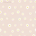 Elegant white daisy floral pattern wrapping paper in soft nutmeg pink for gift packaging - 58x58cm / Cardamom Pink