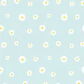 Light blue wrapping paper featuring a delicate white daisy pattern for gift wrapping - 58x58cm / Clear Sky Blue
