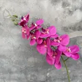 Gambo di orchidea Phalaenopsis artificiale 3D magenta vibrante per decorazioni domestiche. - Phalaenopsis Stampata in 3D / Rosso rosa