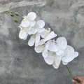 Ramo di orchidea phalaenopsis bianca artificiale con fiori stampati in 3D e boccioli. - Phalaenopsis Stampata in 3D / Bianco