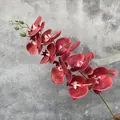 Ramo di orchidea farfalla bordeaux stampato in 3D artificiale per decorazioni floreali - Phalaenopsis Stampata in 3D / Rosso
