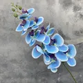 Stelo di orchidea farfalla artificiale blu stampato in 3D per eleganti decorazioni casa - Phalaenopsis Stampata in 3D / Blu