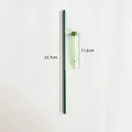 Green flower preservation water tube with 33.7cm extension rod for DIY orchid care - 10pcs/pack