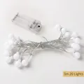 3m 20 LEDs warm white decorative ball string lights with clear battery box case - Battery Powered / 3m 20 Lights / Warm White