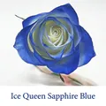 Professionele bloemenspuitverf in Ice Queen koningsblauw voor bloemsierkunst - 450ml / Ijskoningin Koningsblauw