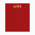 Red Valentine's Day wrapping paper with repeating Love pattern and gold text - Packaging Paper / 50x58cm 10 Sheets/Pack / Regal Red