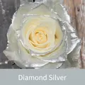 Diamantzilveren metallic bloemenspuitverf effect op een verse witte roos - 450ml / Diamant Zilver