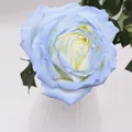 Peinture en aérosol florale bleu glace pilée pour la coloration des fleurs fraîches - 450ml / Bleu Glacé