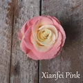 Peinture en aérosol pour fleurs en rose impérial montrée sur une fleur de rose fraîche - 450ml / Rose Concubine Impériale