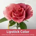 Peinture florale en spray rose à lèvres pour teinture et coloration professionnelle - 450ml / Couleur Rouge à Lèvres