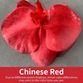 Peinture en spray professionnelle rouge Chine pour colorer les fleurs fraîches - 450ml / Rouge de Chine