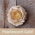 Peinture en aérosol dorée nacrée pour la coloration créative de roses fraîches - 450ml / Or Nacré