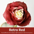 Peinture florale rouge vintage pour fleurs fraîches, effet de teinture réaliste. - 450ml / Cuivre Rétro