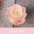 Peinture en aérosol pour fleurs en rose jeune fille pour colorer les fleurs fraîches - 450ml / Rose Fille