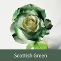 Effet de peinture florale vert Écosse sur pétales de rose - 450ml / Vert Écossais