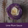 Peinture en spray professionnelle pour fleurs montrant la couleur prune sur rose - 450ml / Prune Noire