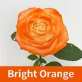 Peinture en aérosol orange vif 450ml pour la teinture des fleurs et les compositions - 450ml / Orange Vif